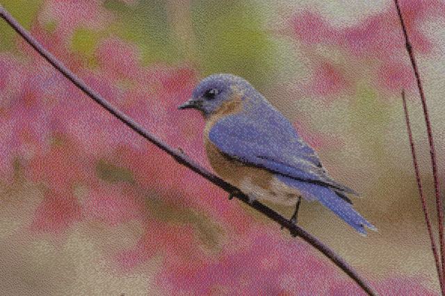Mosaic of an eastern bluebird against pink blossom, assembled from flower photographs