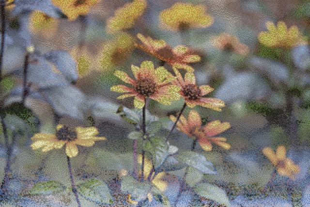 Mosaic of orange and yellow Heliopsis flowers, assembled from bird photographs
