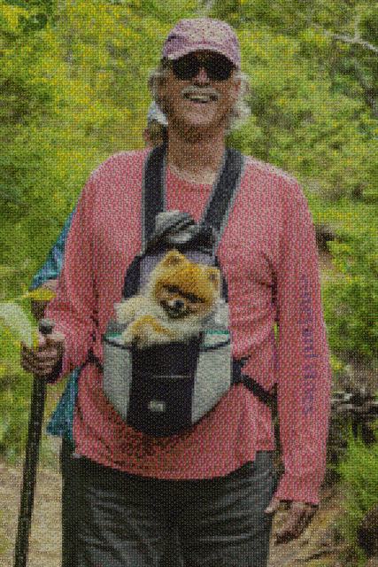 Mosaic of a hiker carrying a pomeranian in a front pack, assembled from flower photographs