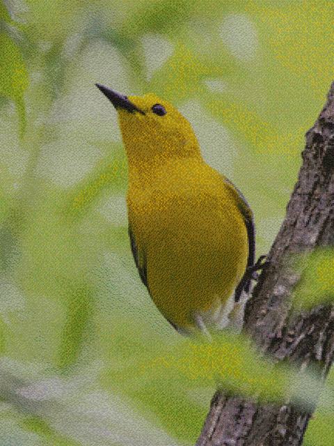 Mosaic of a prothonotary warbler, a yellow bird, assembled from flower photographs